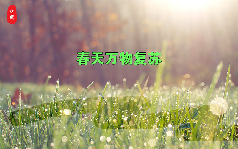 春天萬(wàn)物復(fù)蘇的季節(jié)