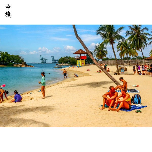 沒有導(dǎo)游證，怎么經(jīng)營旅行社？