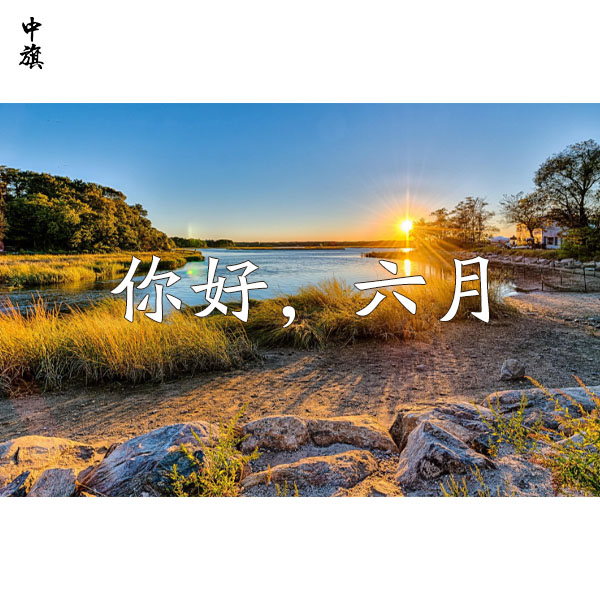 2024年行業(yè)前景預(yù)期，已經(jīng)6月份了是否有回暖現(xiàn)象