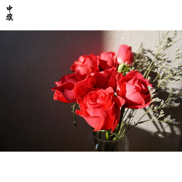 在北京賣花怎么樣？發(fā)展?jié)摿θ绾危?  height=