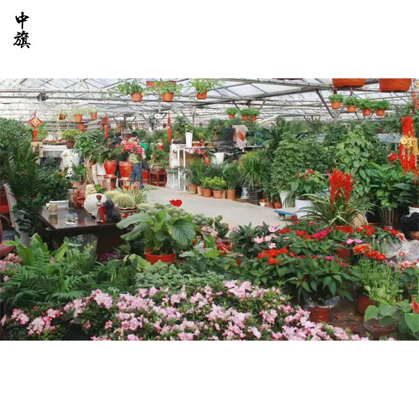 在北京開一家花鳥魚市場前景怎么樣？