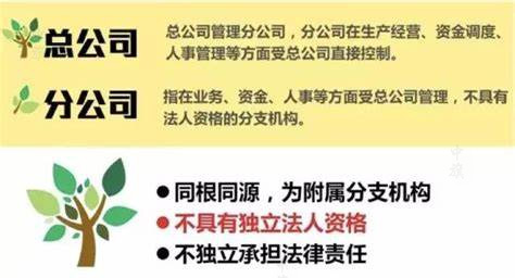 總公司和分公司的財產(chǎn)關系.jpg