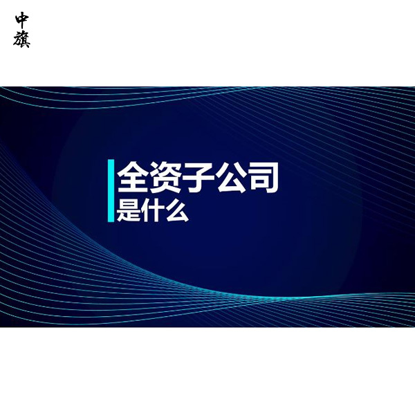 全資子公司和分公司有什么不同？哪個(gè)更適合你的業(yè)務(wù)？