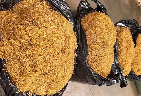 剛剛新下來(lái)的煙葉，看著質(zhì)量還是非常不錯(cuò)的