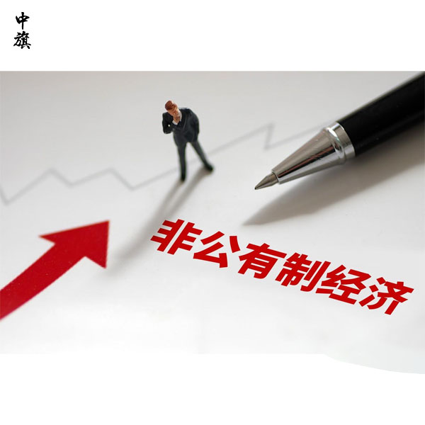 如何理解公有制經(jīng)濟和非公有制經(jīng)濟？