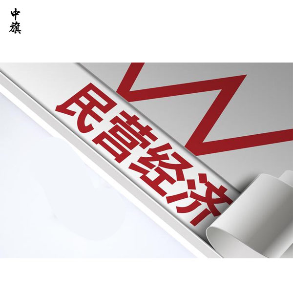 注冊公司時如何區(qū)分民營企業(yè)和私營企業(yè)？