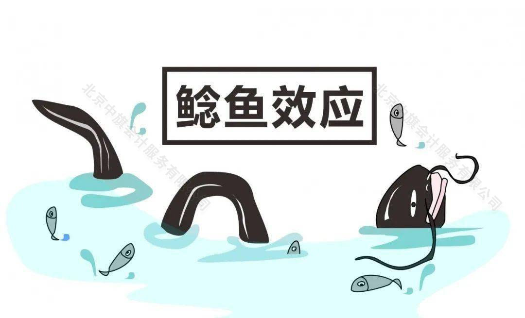 鯰魚效應(yīng).jpg