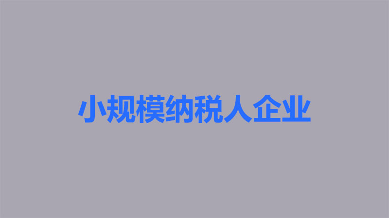 小規(guī)模納稅企業(yè).jpg