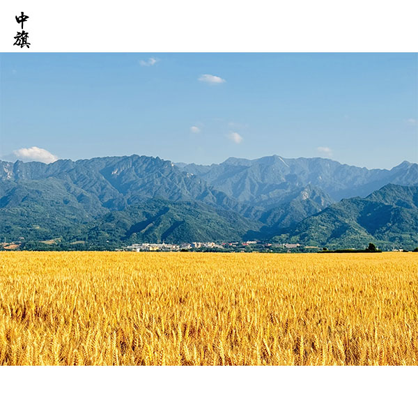 豐收在即，科技助力農(nóng)業(yè)，農(nóng)業(yè)科技如何改變農(nóng)民生活