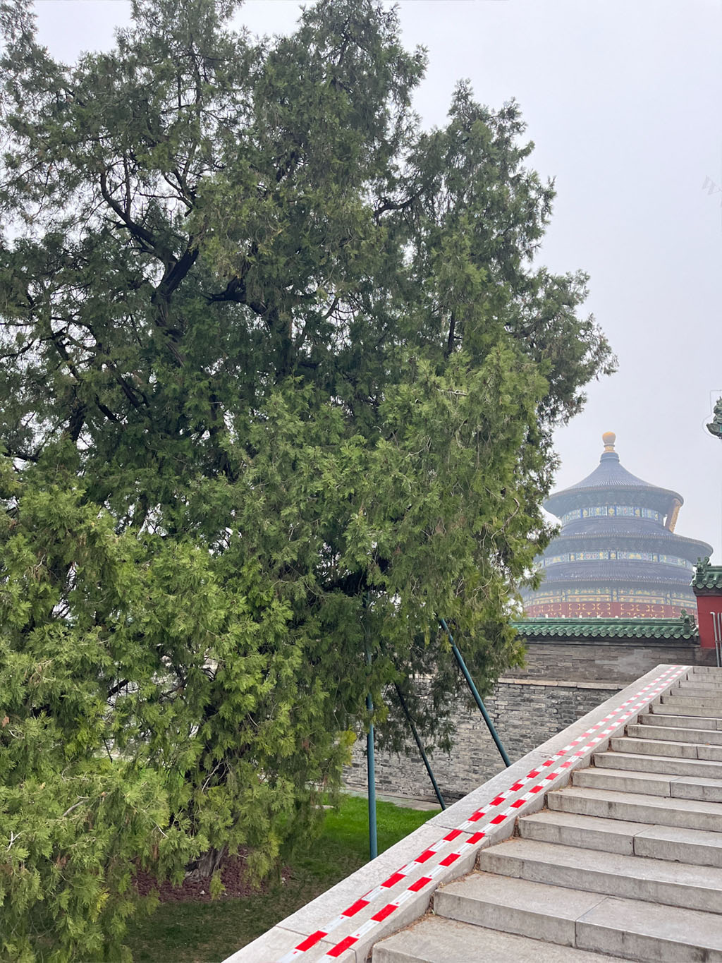 不太會拍照，也沒進去，就在天壇外邊拍的.jpg