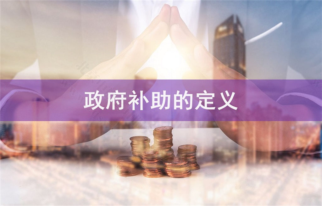 政府補助的定義是什么？.jpg