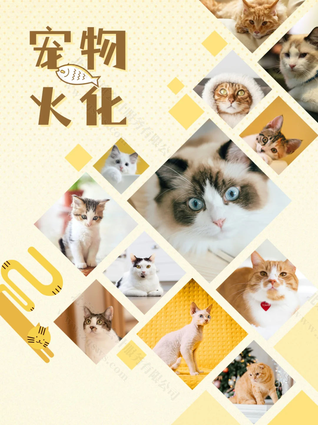 寵物火化.jpg