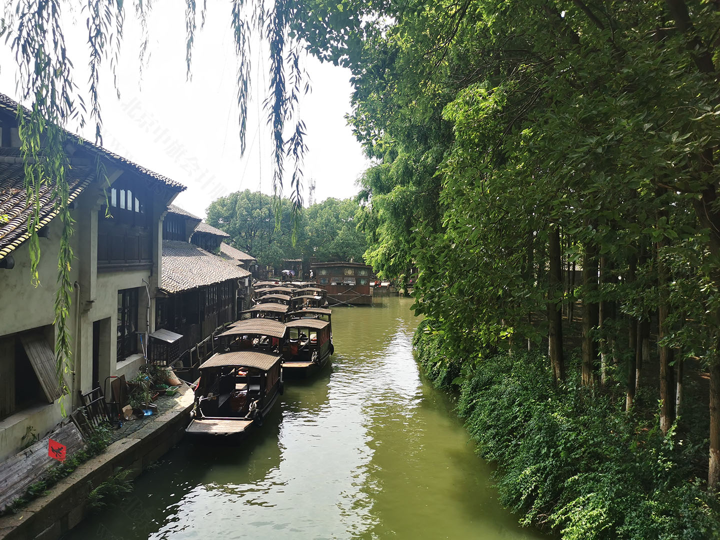 江南古鎮(zhèn).jpg