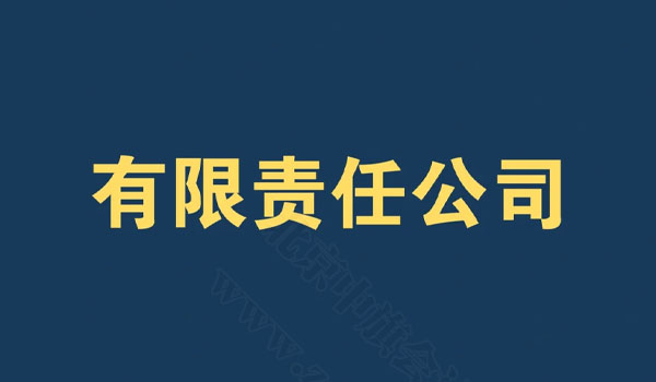 有限責任公司.jpg