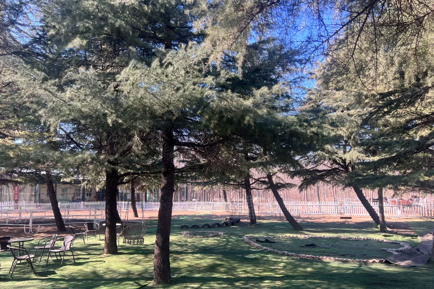 北京馬術(shù)館內(nèi)景，看著非常哇塞.jpg