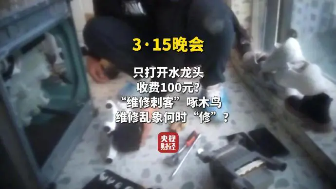 315晚會之維修刺客啄木鳥.png