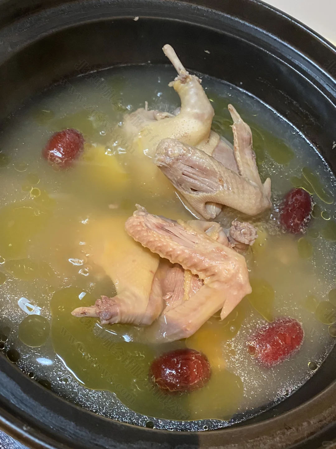 老張自己燉的鴿子湯.jpg