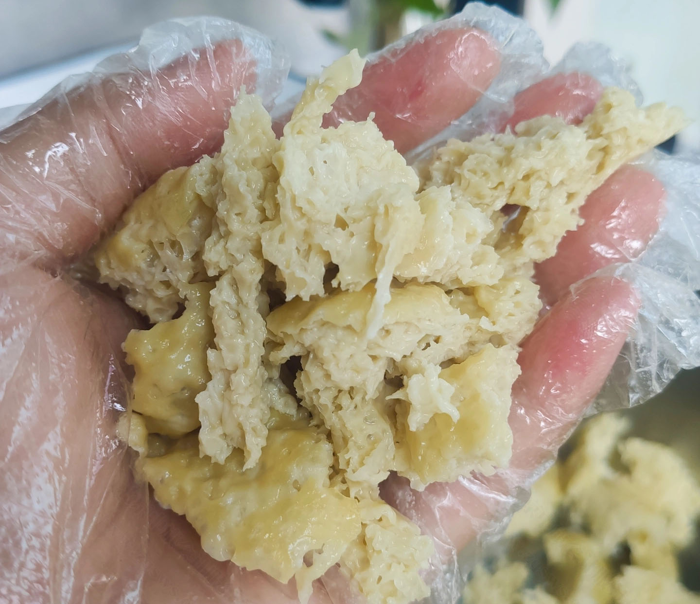 這個(gè)豆泡也是我自己做的.jpg