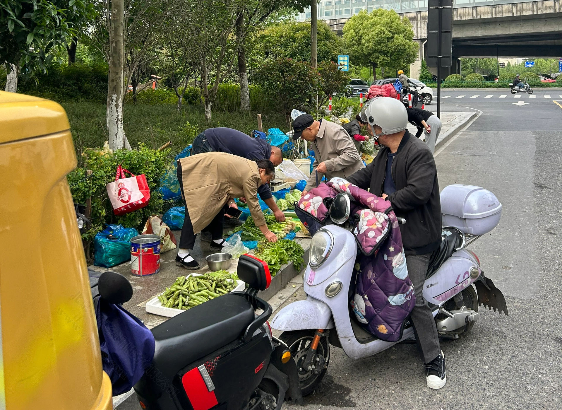 李阿姨現(xiàn)在每天都在街上賣菜.jpg