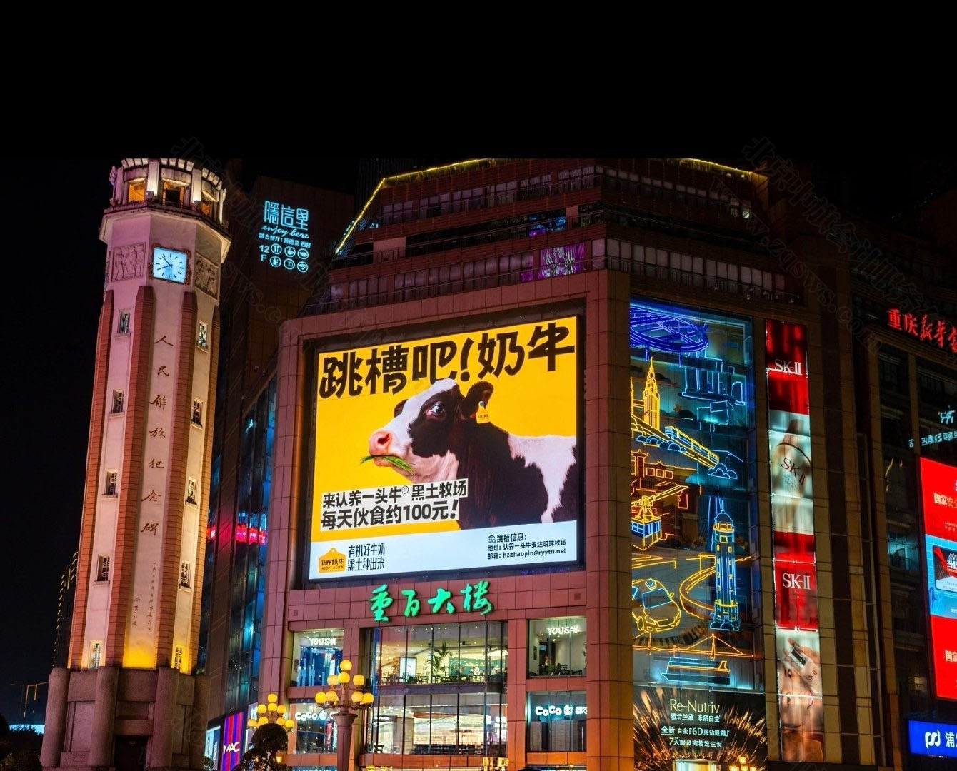 跳槽吧奶牛廣告.jpg