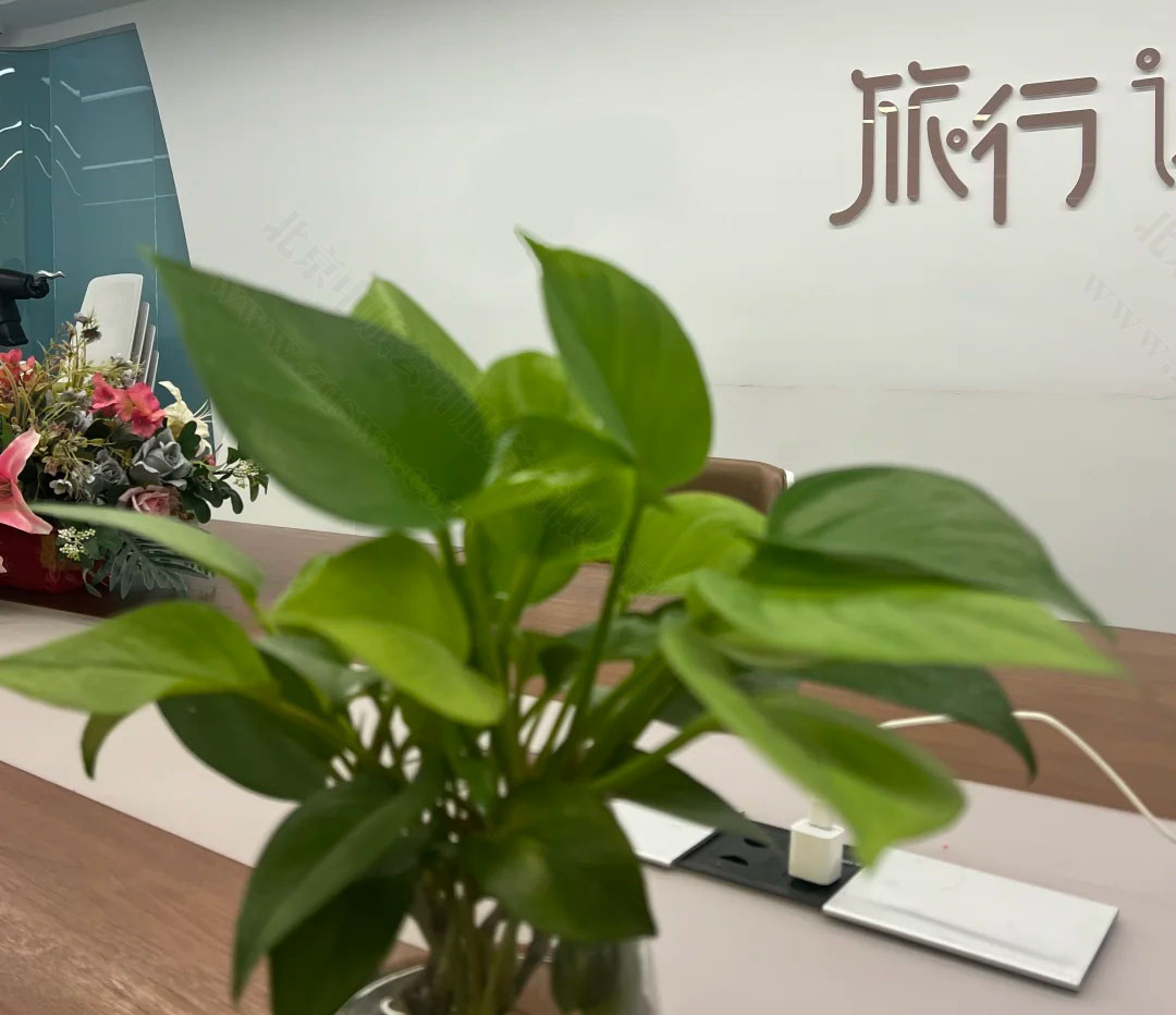 旅行社分公司備案細節(jié)多.jpg