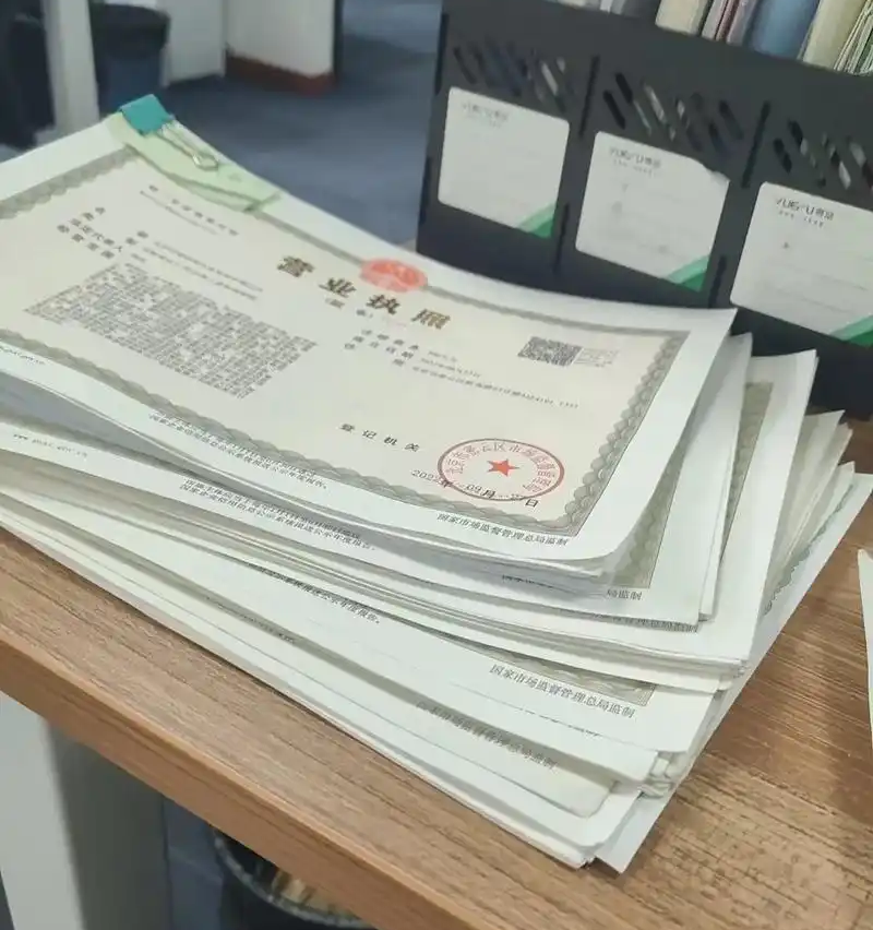 一大堆執(zhí)照.png