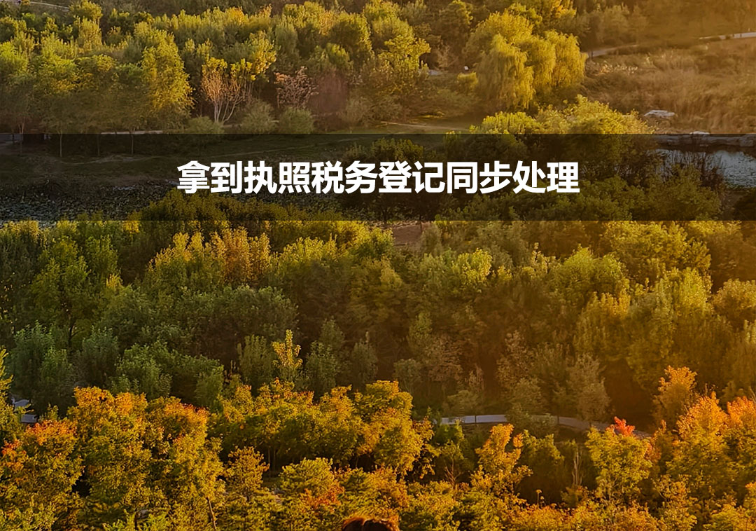 拿到執(zhí)照稅務(wù)登記同步處理.jpg
