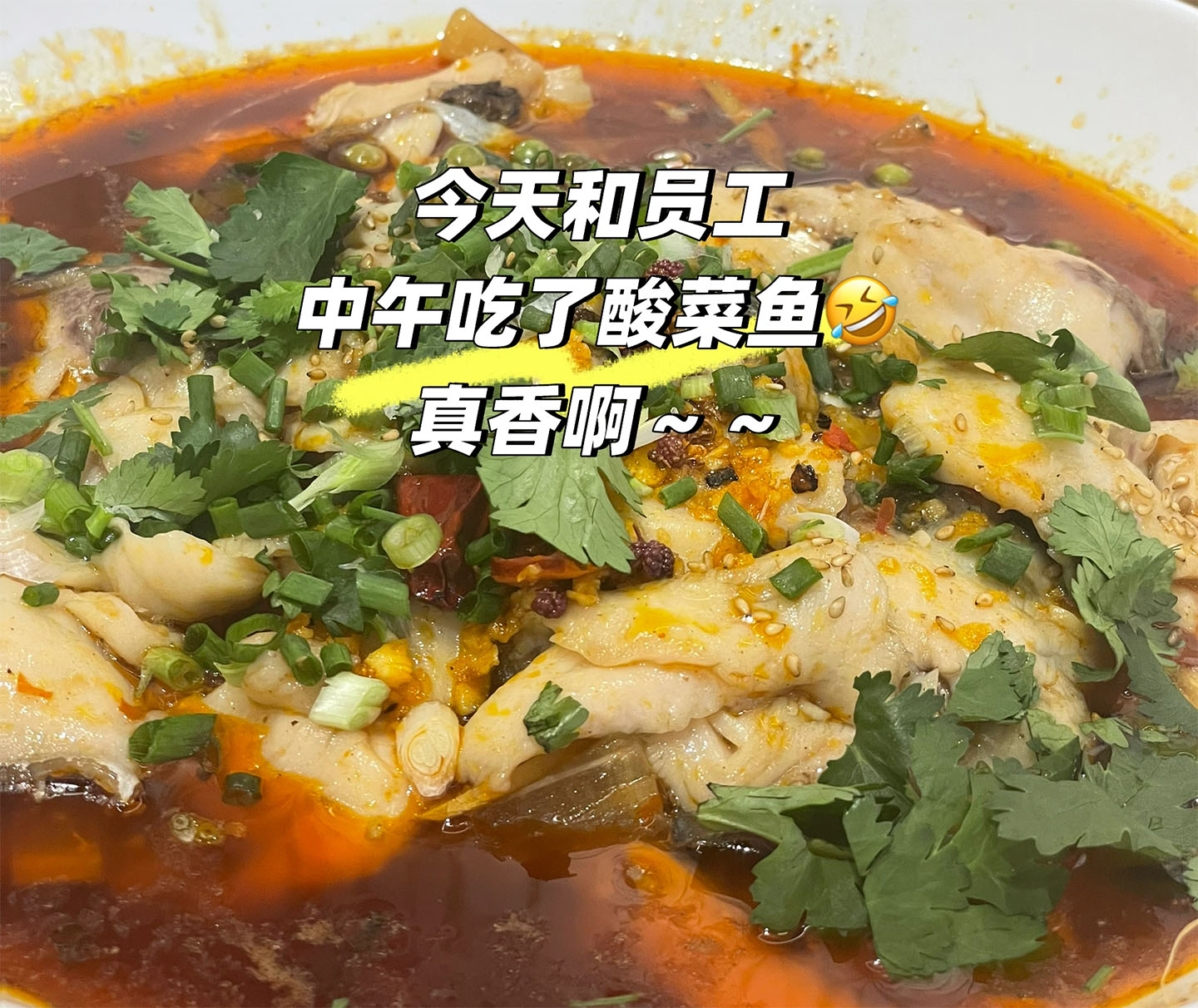 中午吃了酸菜魚.jpg