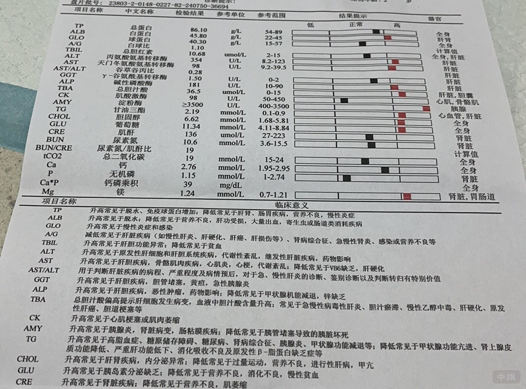 寵物診斷單.jpg