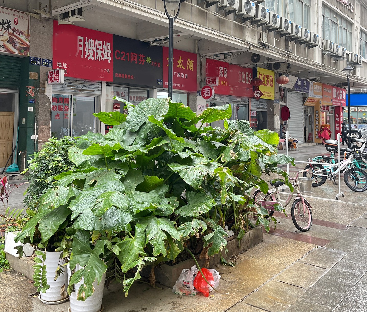 全是家政服務(wù).jpg