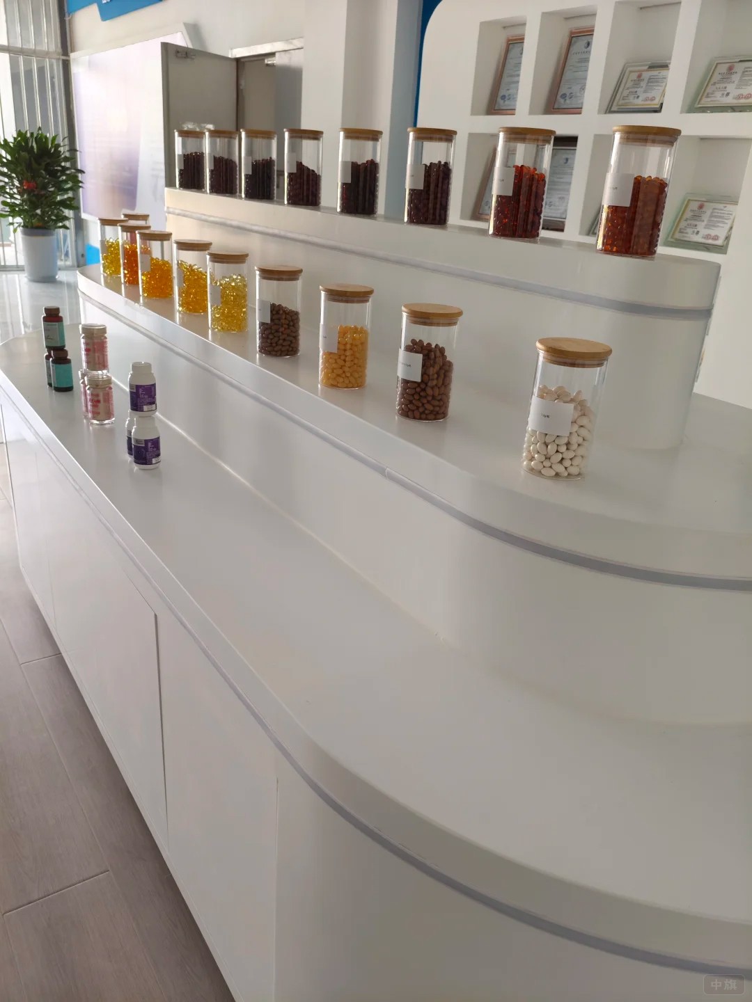 企業(yè)進(jìn)口保健食品展示臺