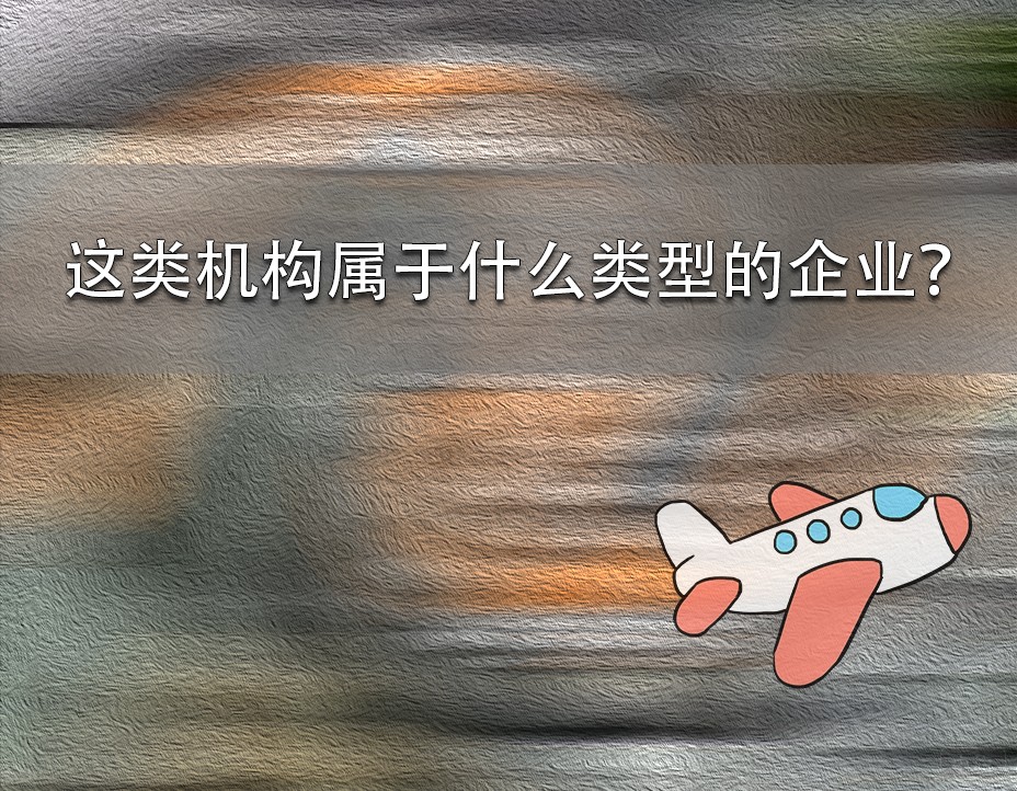 這類機(jī)構(gòu)屬于什么類型的企業(yè)？