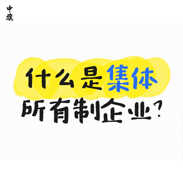 什么是集體所有制企業(yè)？